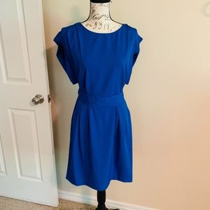 Eliza J 8 Dress Belted Cobalt Blue Dolman Sleeve